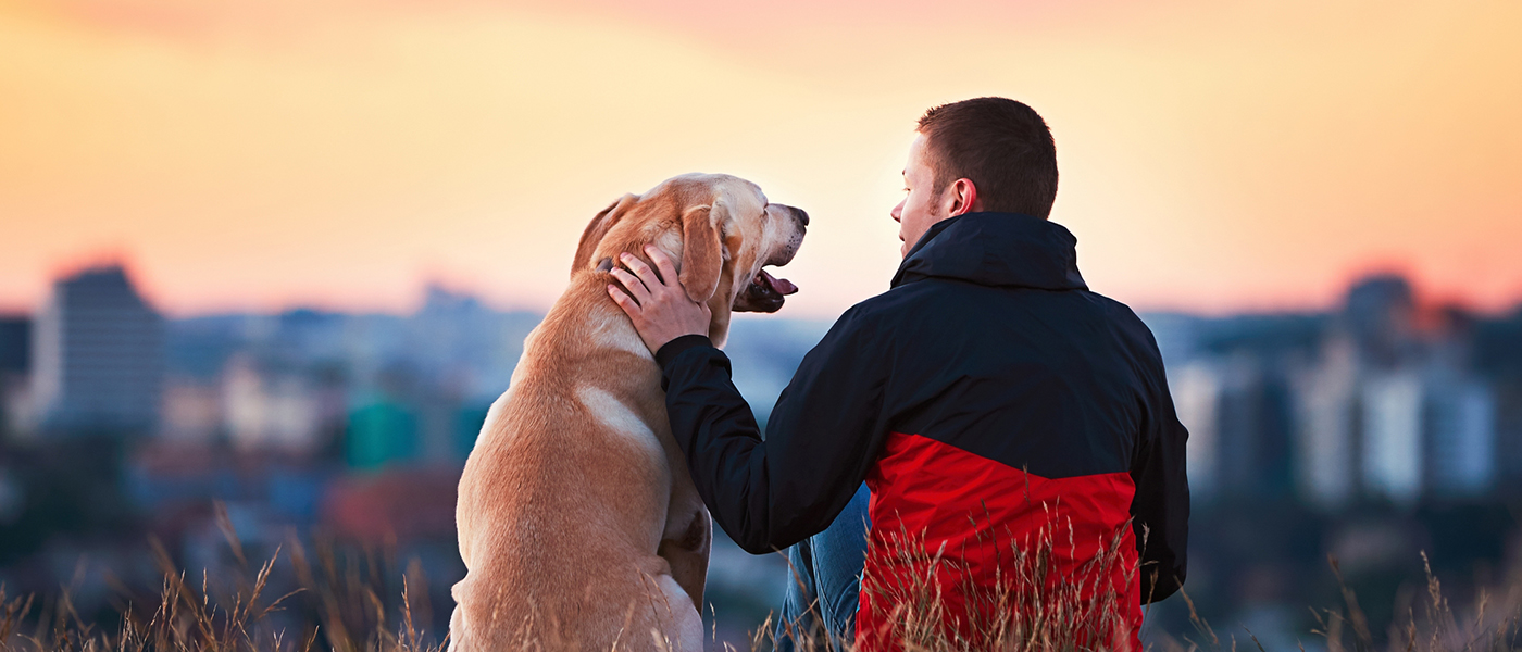 4 Guaranteed Ways to Improve your Bond with your Dog Training Tails